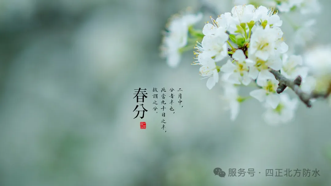 17441701661624322iYg.png 6402.webp.png